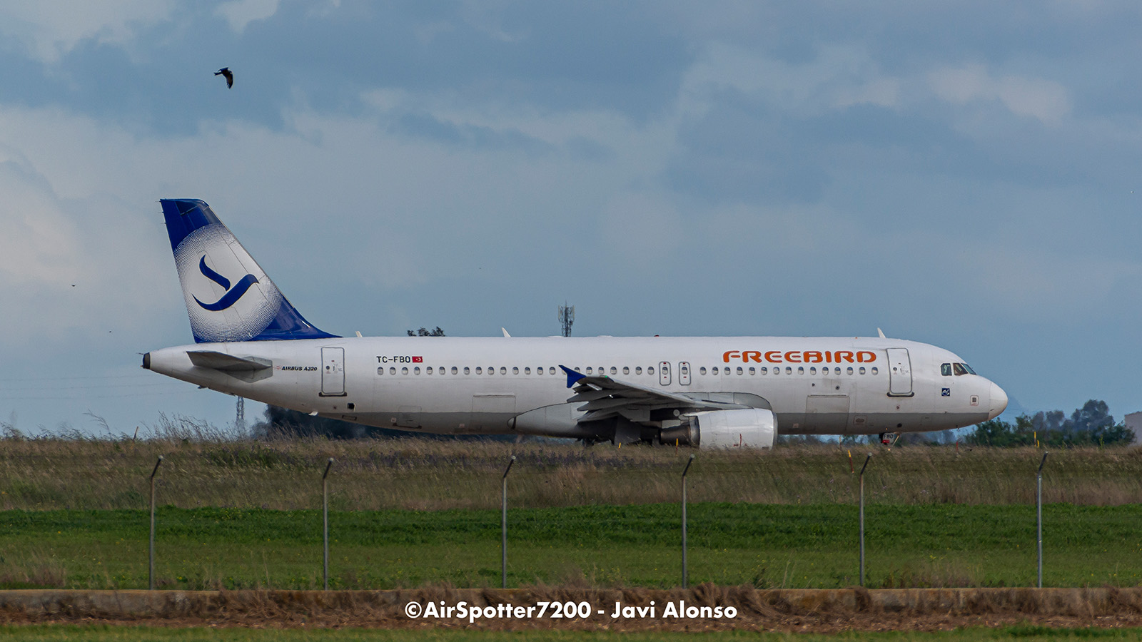 Visita desde Estambul